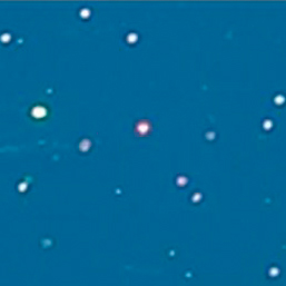 Раковина Ledeme L112-06 синяя